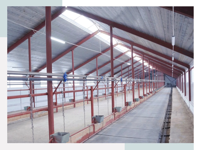 Строительство коровников в Анжере-Судженске от 615 руб.