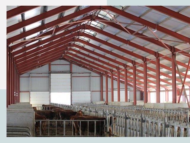 Строительство коровников в Анжере-Судженске