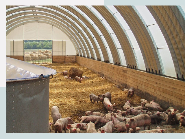 Строительство свинарников в Анжере-Судженске