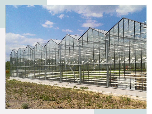 Строительство теплиц в Анжеро-Судженск от 615 руб. за м²