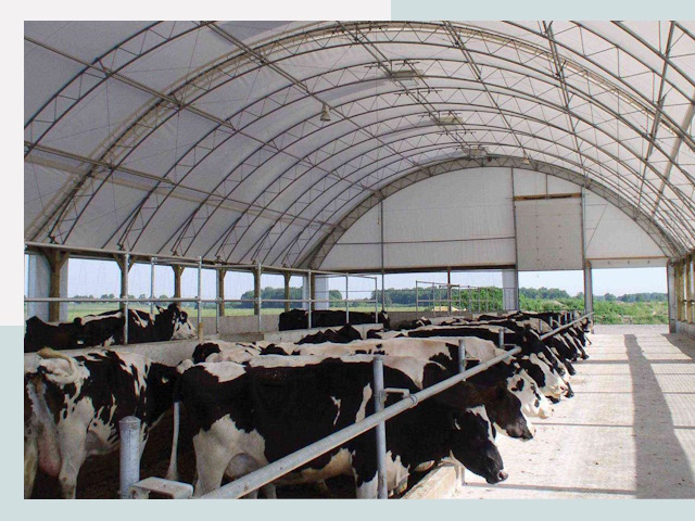 Тентовые коровники в Анжере-Судженске